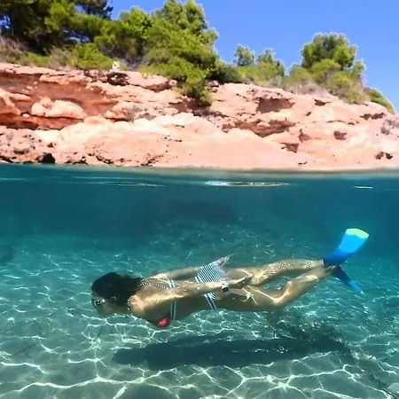 Dolphin - 4 Pax * L'Ametlla de Mar