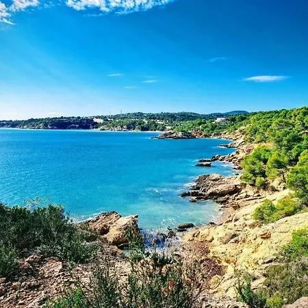 Dolphin - 4 Pax L'Ametlla de Mar