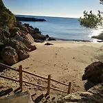 Dolphin - 4 Pax L'Ametlla de Mar